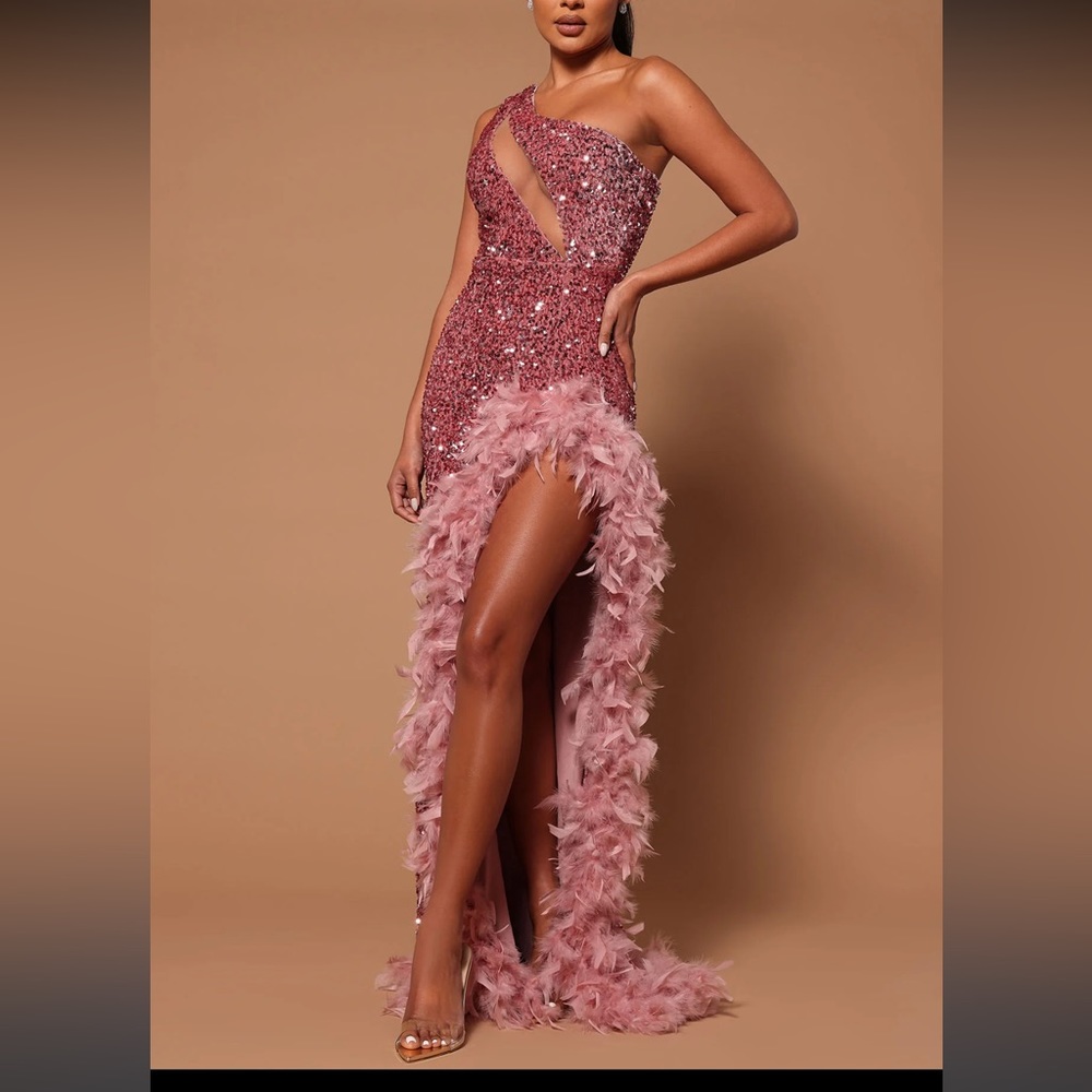 Fashion nova pink sequin dress with feathers